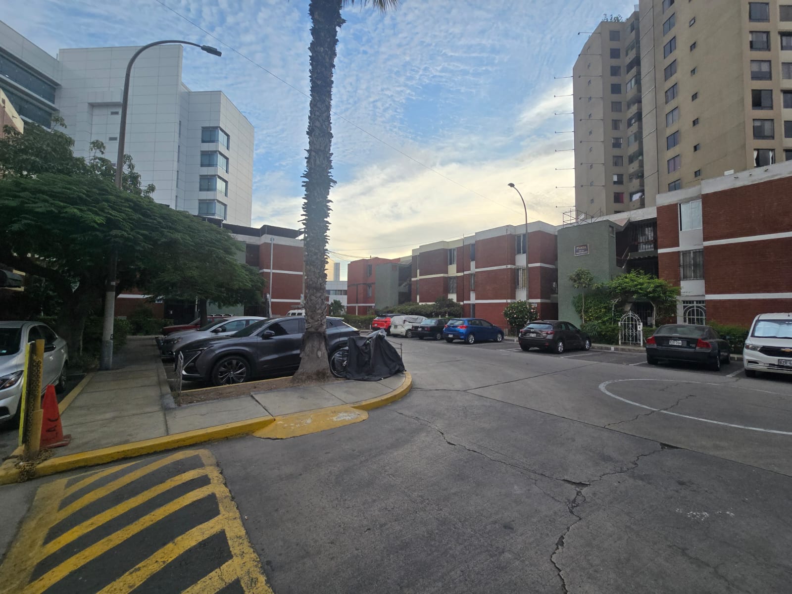 WhatsApp Image 2026-03-18 at 19.45.40 (1)