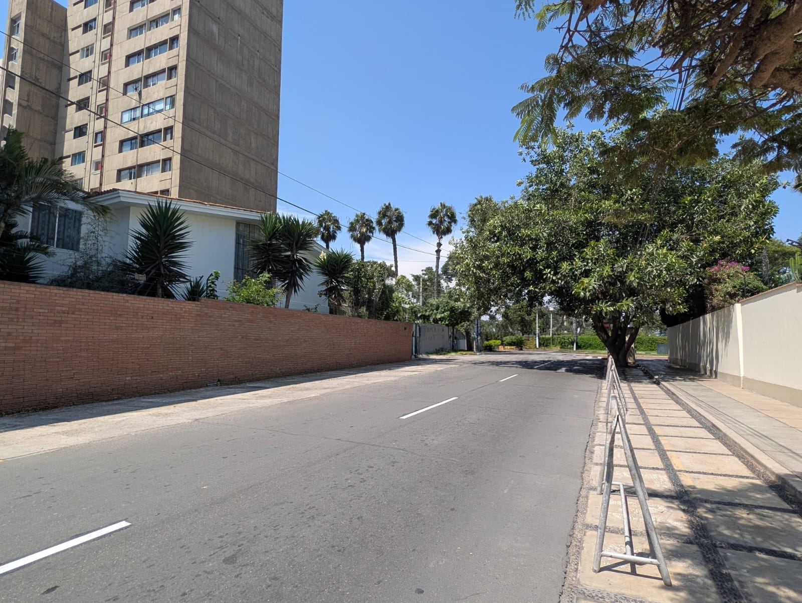 WhatsApp Image 2026-03-31 at 12.11.15 (1)