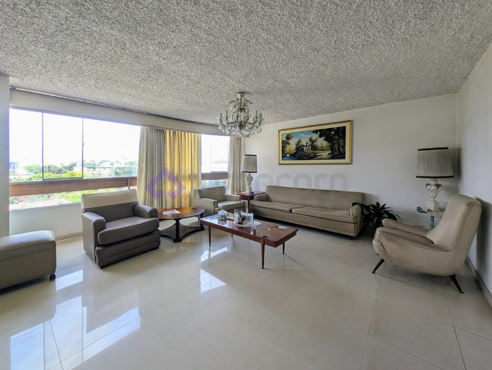 WhatsApp Image 2026-03-31 at 12.11.19